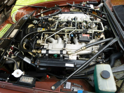 1981 Jaguar XJ-S 5.3 V12 HE Engine Bay 1